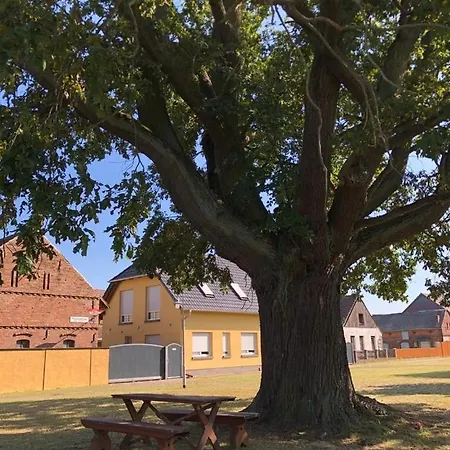 Zur Eiche Am Dorfanger Farm stay *